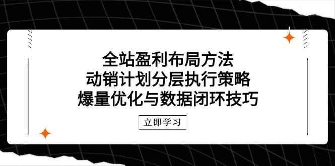 （14698期）全站盈利布局方法：动销计划分层执行策略，爆量优化与数据闭环技巧9-91创业网