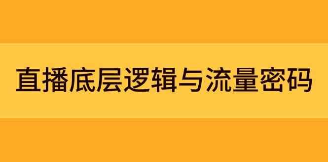 （14695期）直播底层逻辑与流量密码：定位模型+案例拆解，急速流承接与数据优化全攻略9-91创业网