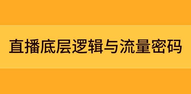 直播底层逻辑与流量密码：定位模型+案例拆解，急速流承接与数据优化全攻略9-91创业网