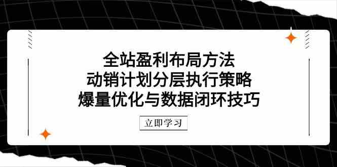 全站盈利布局方法：动销计划分层执行策略，爆量优化与数据闭环技巧9-91创业网
